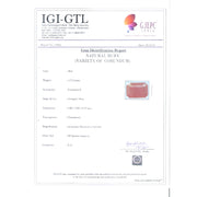 4.73/CT Natural Mozambique Ruby with Govt. Lab Certificate-RUBY9T